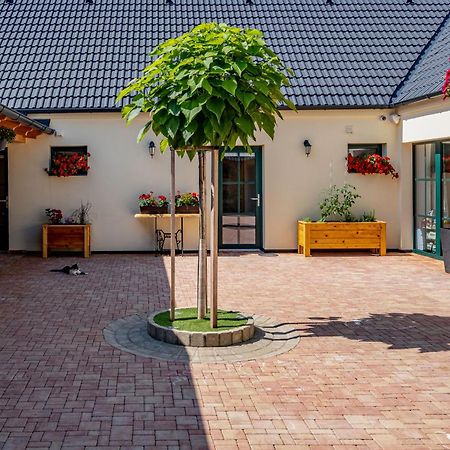 U Katalpy Hotel Sedlec  Bagian luar foto
